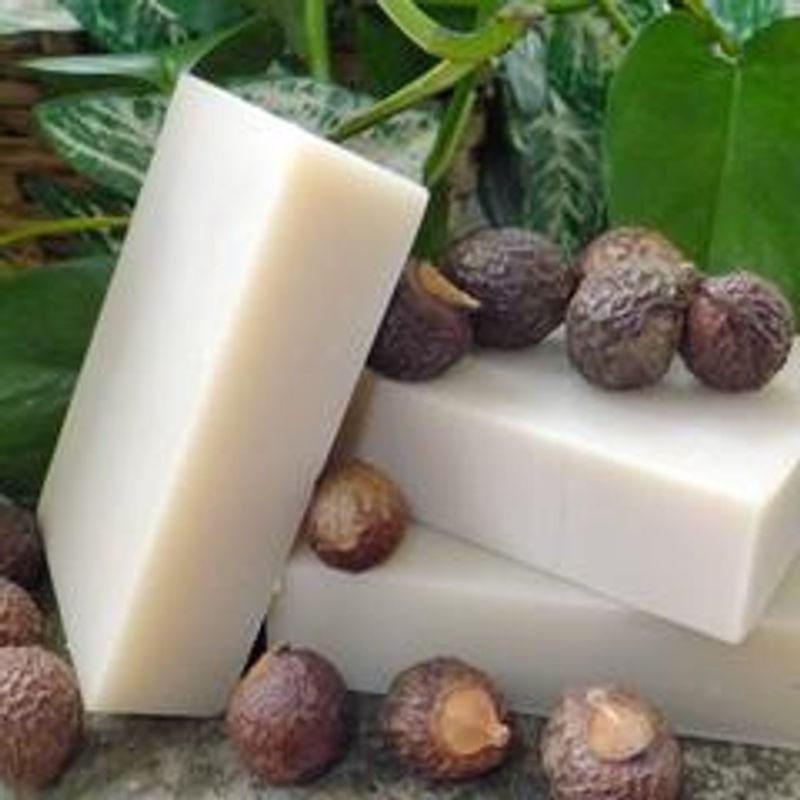 Shampoo Bar Soapnuts